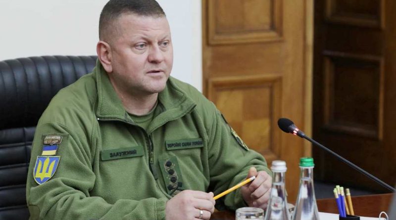 zaluzhnyj 800x445